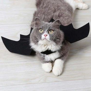 Gray and white cat in a KittyNook Cat Co. Halloween Bat Wing Cat Costume with adjustable straps, looking up with wide eyes.